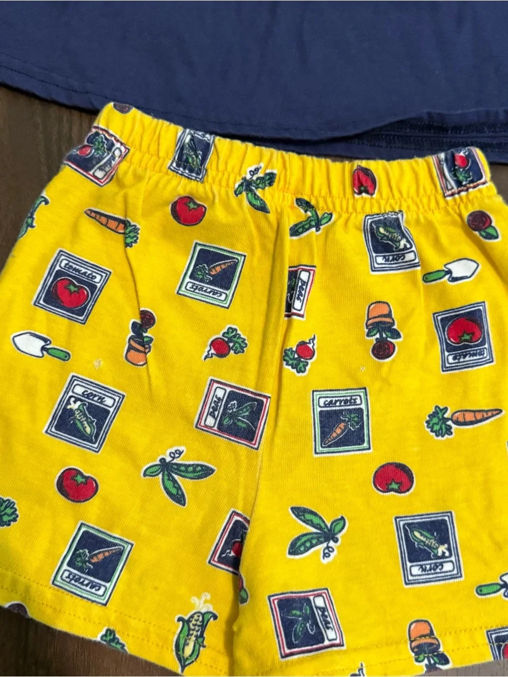 Baby girl vintage Carter’s 90’s garden shirt and shorts set